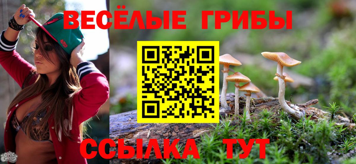 Галлюциногенные грибы MAGIC MUSHROOMS  Вход с VPN  Галлюциногенные грибы Cubensis  Рассказово 